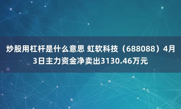 炒股用杠杆是什么意思 虹软科技（688088）4月3日主力资金净卖出3130.46万元