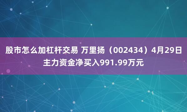 股市怎么加杠杆交易 万里扬（002434）4月29日主力资金净买入991.99万元
