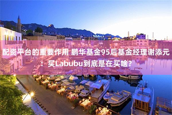 配资平台的重要作用 鹏华基金95后基金经理谢添元：买Labubu到底是在买啥？