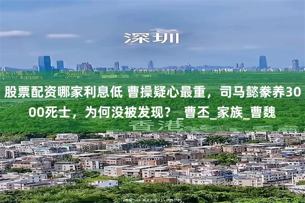 股票配资哪家利息低 曹操疑心最重，司马懿豢养3000死士，为何没被发现？_曹丕_家族_曹魏