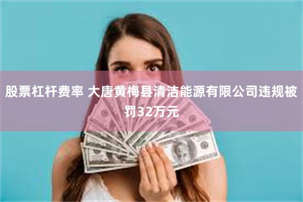股票杠杆费率 大唐黄梅县清洁能源有限公司违规被罚32万元