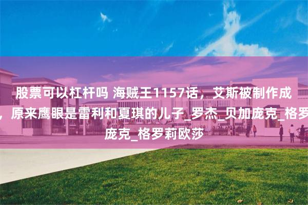 股票可以杠杆吗 海贼王1157话，艾斯被制作成炽天使，原来鹰眼是雷利和夏琪的儿子_罗杰_贝加庞克_格罗莉欧莎