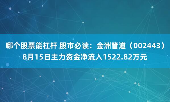 哪个股票能杠杆 股市必读：金洲管道（002443）8月15日主力资金净流入1522.82万元