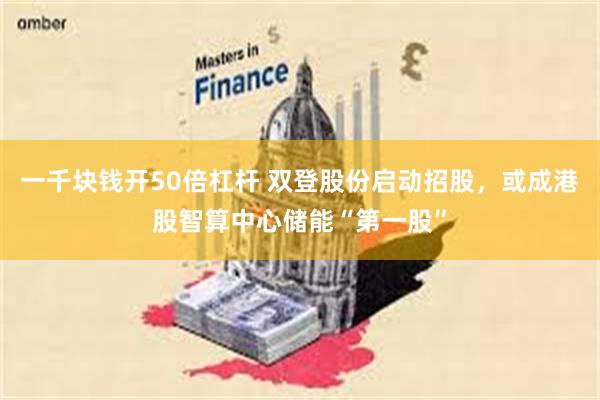 一千块钱开50倍杠杆 双登股份启动招股，或成港股智算中心储能“第一股”