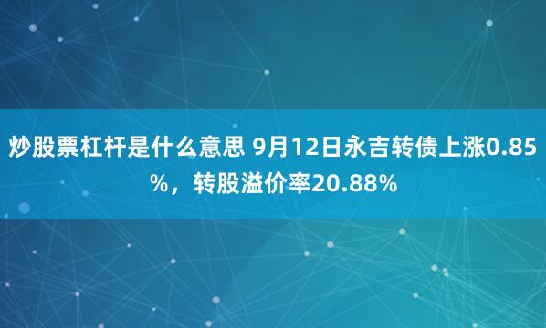 炒股票杠杆是什么意思 9月12日永吉转债上涨0.85%，转股溢价率20.88%