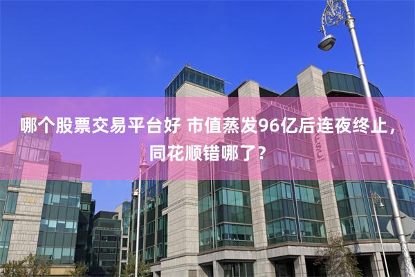 哪个股票交易平台好 市值蒸发96亿后连夜终止，同花顺错哪了？