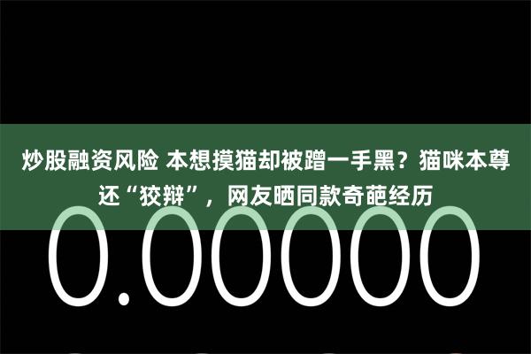 炒股融资风险 本想摸猫却被蹭一手黑?猫咪本尊还“狡辩”,网友晒同款奇葩经历